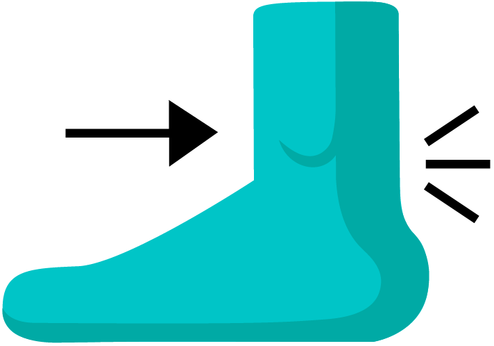 Ankle