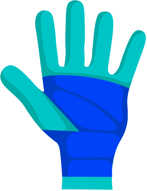 Hand and Wrist