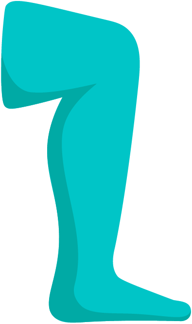 Knee