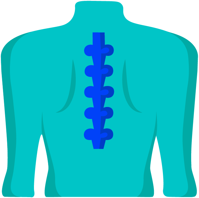 Back and Spine