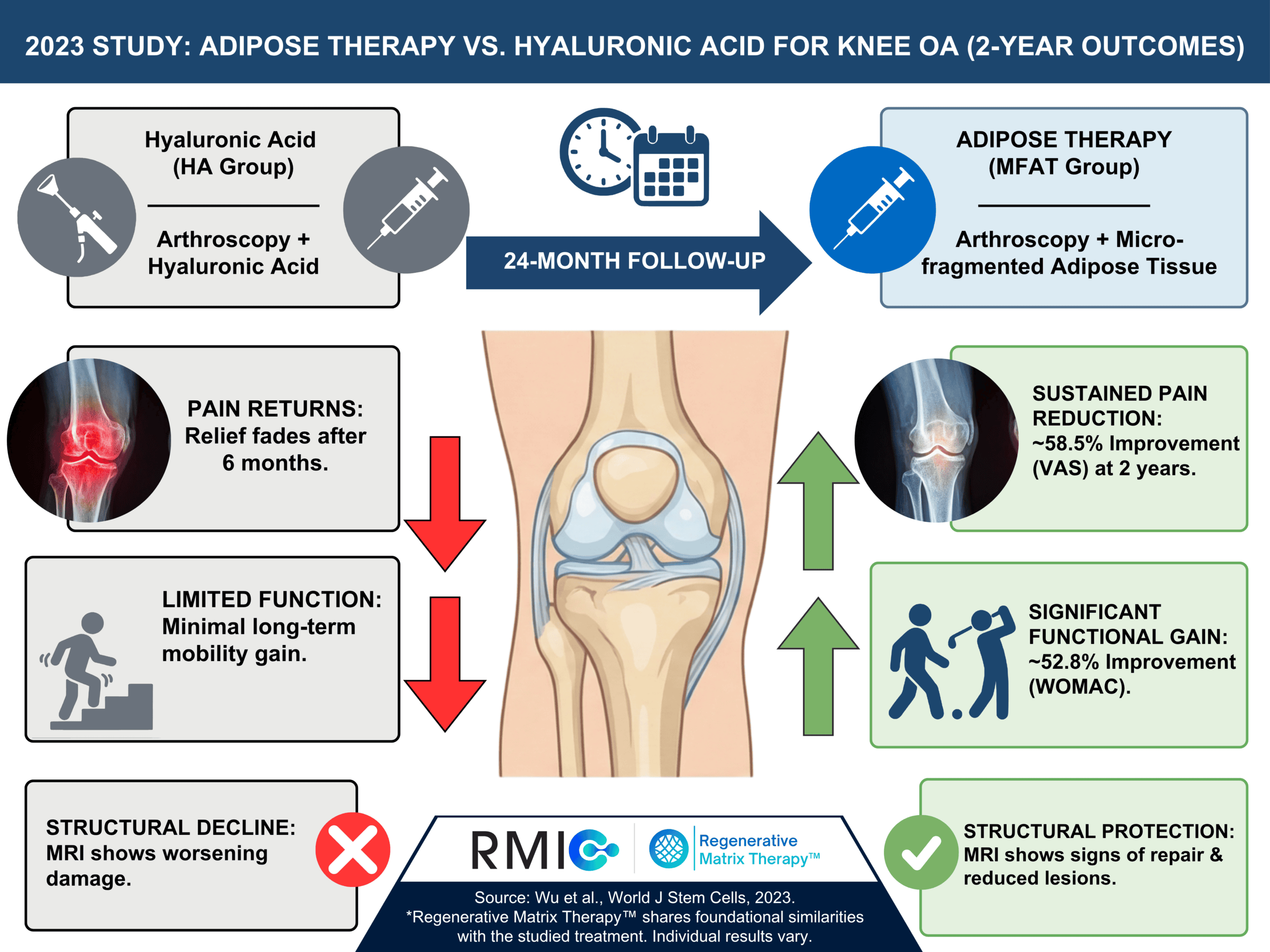 Comparison of hyaluronic acid and adipose therapy for knee osteoarthritis, highlighting study outcomes on pain relief and functional improvement.